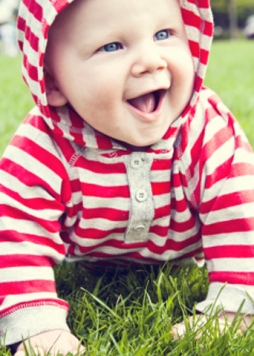 Các mốc phát triển của trẻ: Bò