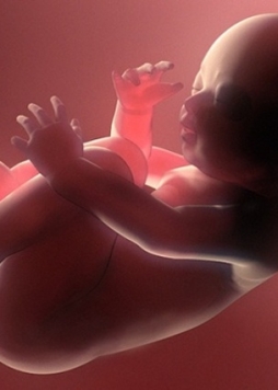 Lý do tại sao bé đạp nhiều hơn vào ban đêm